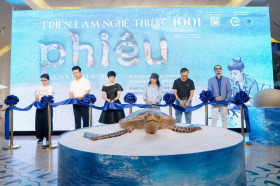 1001只陶瓷海龟展：保护海龟 你我同行