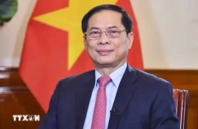 Vietnam, Russia reach consensus on future orientations of bilateral ties: FM