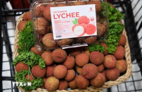 Vietnamese lychees become familiar to Thai consumers