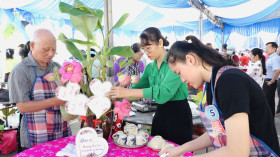 土龙木市：越南家庭日纪念活动热闹非凡