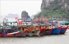 广宁近1500艘渔船按规定进行登记