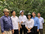 Xã Hiếu Liêm, huyện Bắc Tân Uyên: Duy trì chất lượng nông thôn mới nâng cao, hướng tới kiểu mẫu