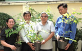 People donate 100 imported trees to greening campaign