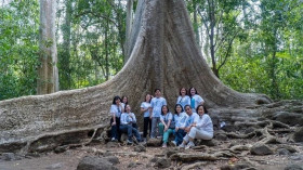 吉仙国家公园——越南保护自然和生物多样性的典范