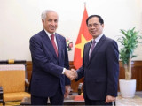 越南与卡塔尔两国外交部第三次政治磋商在河内召开