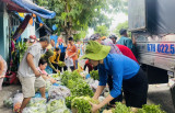 Phường Phú Tân, Tp.Thủ Dầu Một: Hỗ trợ nông sản sạch cho công nhân tại các khu nhà trọ