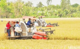 Mechanisms needed for rice industry to go circular: insiders