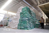 Vietnam's rice exports soar