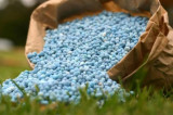 Indonesia boosts clean tech in fertiliser production