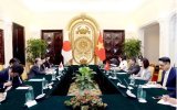 Vietnam, Japan work to materialise comprehensive strategic partnership