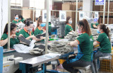 Local leather-footwear industry: Restructuring production processes in new period