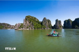 Ha Long Bay - Cat Ba Archipelago recognised as World Geological Heritage