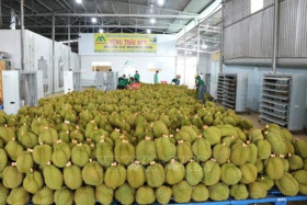 China's door opened wide for Vietnamese agricultural product exports
