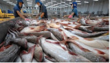 Vietnam becomes second largest supplier of white fish to US