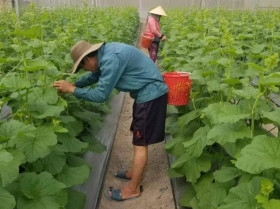 Chuyển đổi số tạo cơ hội mới để phát triển kinh tế - xã hội