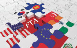 Intellectual property in new generation FTAs