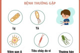 Các bệnh lây truyền qua đường tiêu hóa thường mắc sau bão lụt và mưa lũ