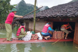 Sự chân thành và những “sân khấu” hão huyền