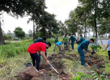 Green planting gains over 115.5% of 2024 planning in Thu Dau Mot city