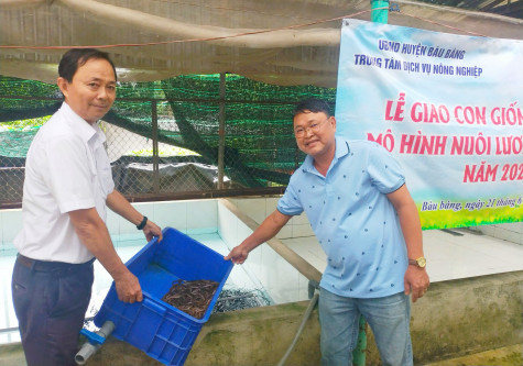 Nuôi lươn không bùn mang lại hiệu quả kinh tế cao