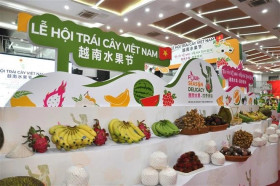 First Vietnam fruit festival opens in China
