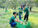 Huyện Bắc Tân Uyên hướng đến phát triển xanh