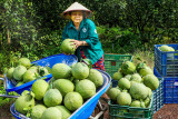 Tập trung hoàn thành các mục tiêu, chỉ tiêu năm 2024