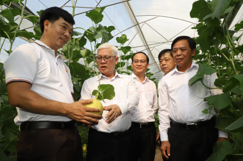 Local authorities urged to give support on technique, capital, product promotion for farmers