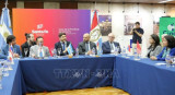 Forum helps enhance trade ties between ASEAN, Argentina