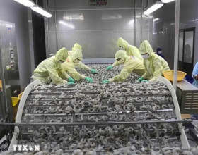 Shrimp exports bring home nearly 2.8 billion USD in nine months