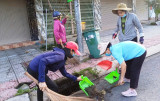 Chung tay làm đẹp những con đường