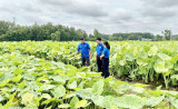 Đồng hành với thanh niên