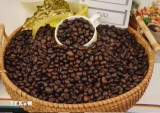 Vietnam’s coffee exports exceed 5 billion USD in 2023-2024 crop year