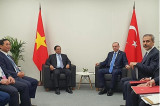 Vietnamese PM meets with Turkish President in Russia