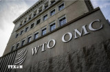 18 năm Việt Nam gia nhập WTO: Hành trình hội nhập và phát triển