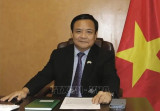 Vietnam proactively contributes to APEC forum: Diplomat