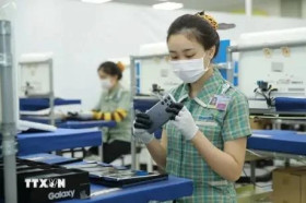 Vietnam Report：2024年越南企业500强排行榜出炉