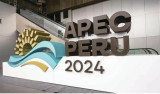 Vietnam affirms active, responsible role in APEC