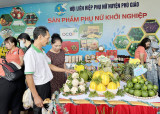 Phát triển sản phẩm OCOP theo hướng xanh, bền vững