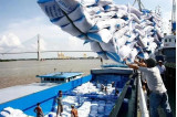 Vietnam to set new record in rice exports in 2024