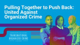 Efforts boosted to combat transnational organised crime