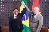 PM’s trip to bolster Vietnam-Brazil comprehensive partnership