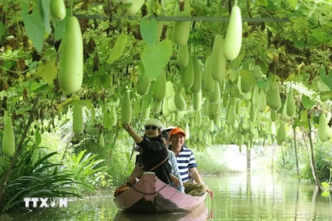 农业和乡村旅游伺机“腾飞”