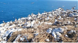 Vietnam Records recognises Hon Trung as most fertile seabird habitat