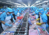 Vietnam records 24.3 billion USD trade surplus in 11 months