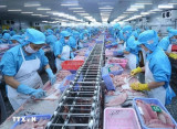 Vietnam’s seafood export hits 1 billion USD mark for October