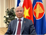 Vietnam-France ties reach new height in 2024: Ambassador