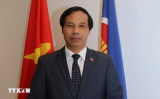 Energy cooperation constitutes bright spot in Vietnam-Qatar relations