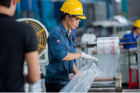 Vietnam's economy: Flexible and reasonable fiscal policy