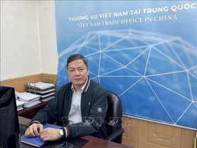 越南与中国建交75周年：经贸合作继续成为亮点